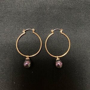 Hoop With Pearl Shell Hamilton Gold Earrings (New)